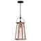 Quoizel Carolina Mini Pendant 1 Light Aged Copper CLN1507AC - alternate 2